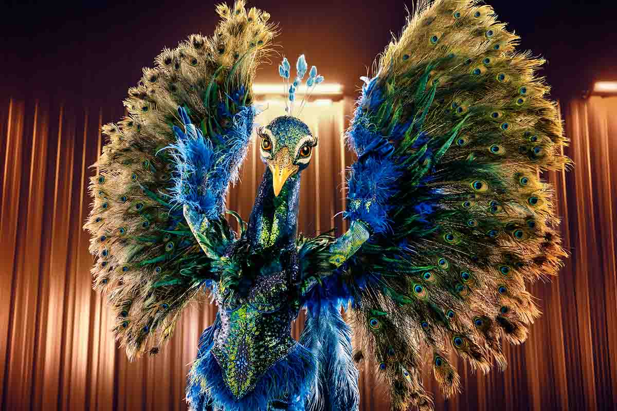 VTM deelt opvallende nieuwe tip over Pauw in 'The Masked Singer'