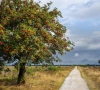 Weersverwachting KMI België: zonnige start maandag, maar in deze regio grote kans op buien